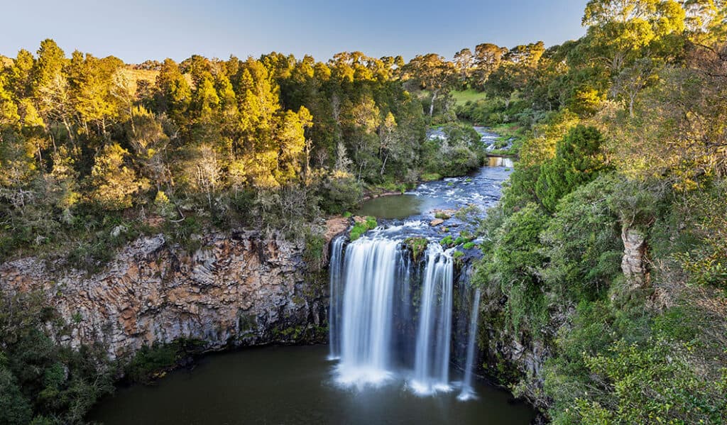 Things To Do Dorrigo Hotel Motel