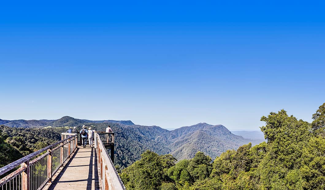 dorrigo-skywalk-lookout